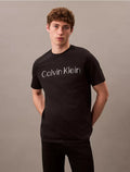 Calvin Klein Regular Fit Tee